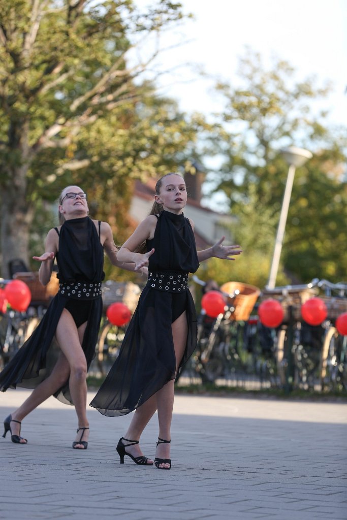 Schoolplein Festival B 203.jpg